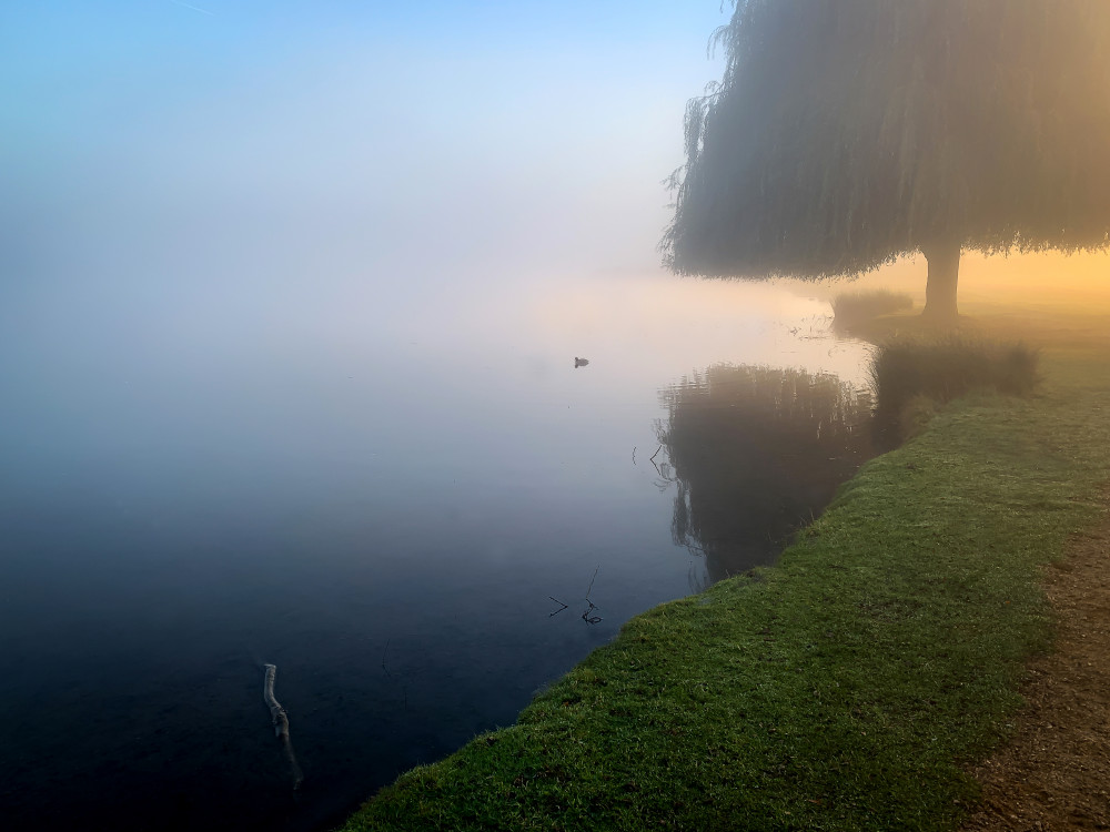 SMARTPHONE PHOTOGRAPHY WORKSHOP