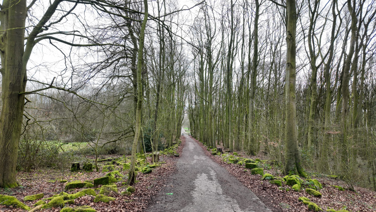 Are you looking for something to do this weekend? (image via Livia Gregor)