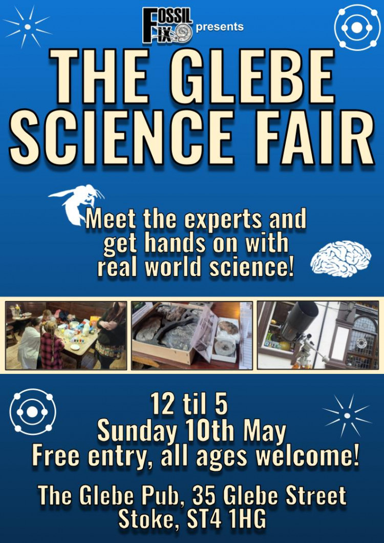 The Glebe Science Fair