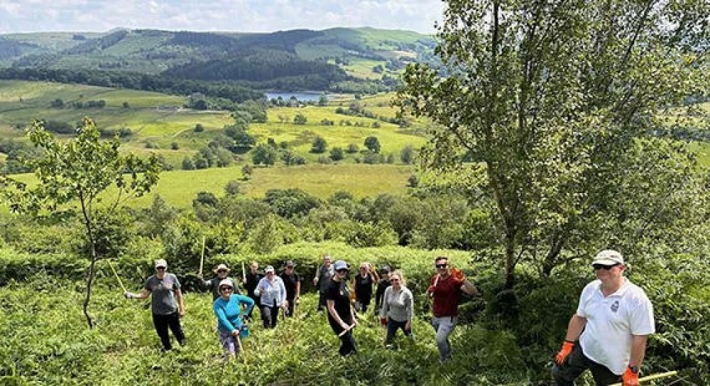 Bracken Bashing at Tegg's Nose