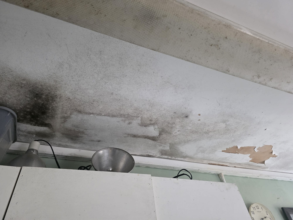 Feed Room Water Damage