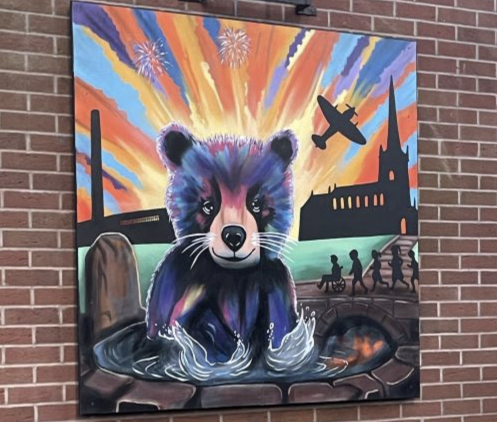 Warwickshire County Council's Blank Canvas project unveiled its third mural in Southam, by Stratford artist Ali Glover (image supplied) 