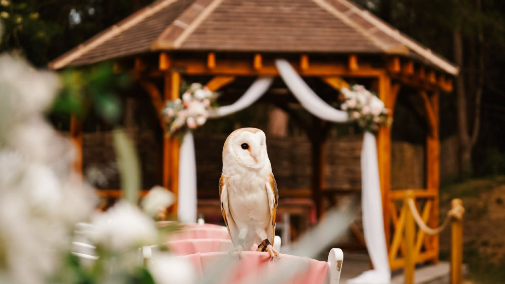 Couples are invited to the Spring Wedding Fayre at The Glade on May 17 (image supplied)