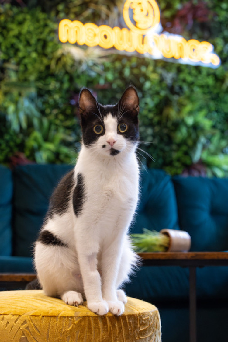 Special Birthday Party Sessions will also take place on Saturday 2 May, with a limited number of spaces still available.