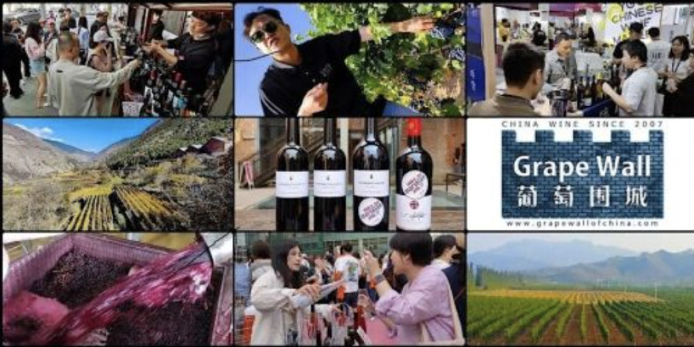 In a Strange Land - Castle and Wine in China