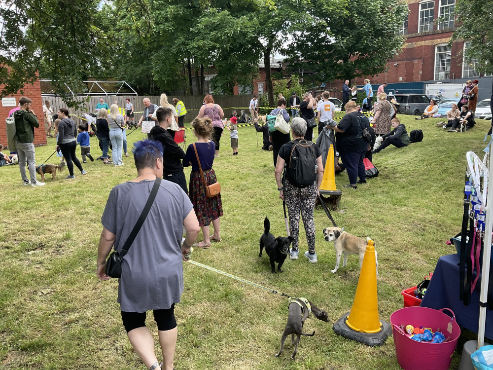 Reddish Fun Dog Show