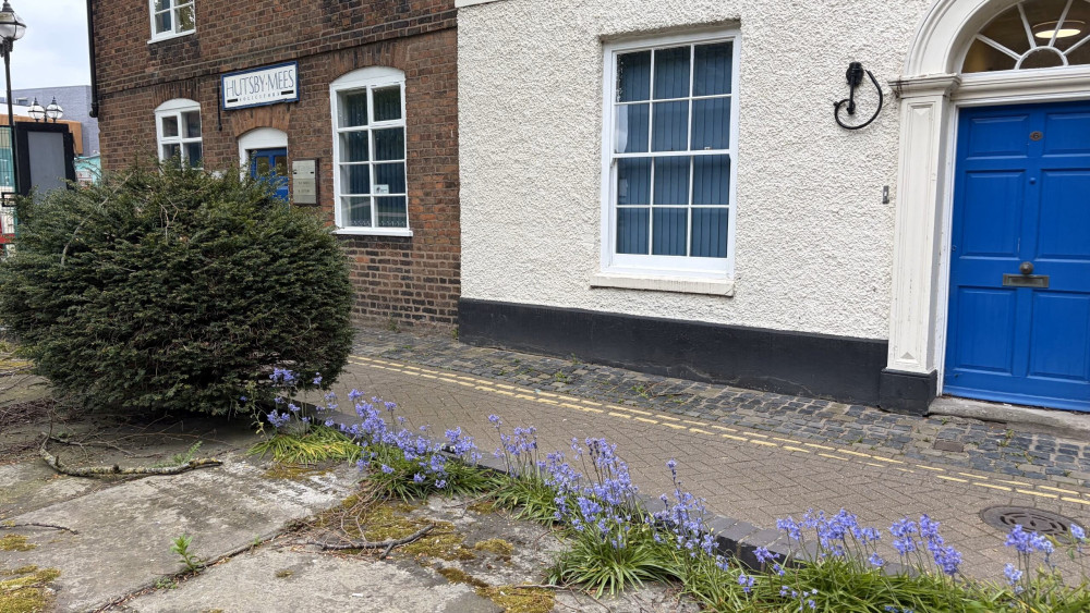 Are you looking for something to do this weekend? (image via Livia Gregor)