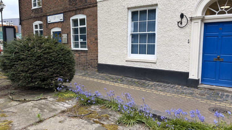 Are you looking for something to do this weekend? (image via Livia Gregor)