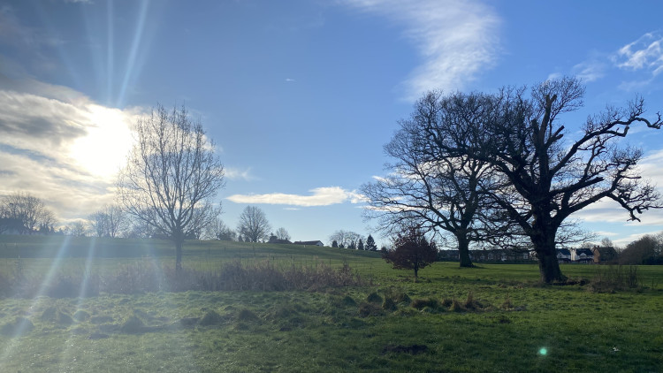 Plans for the Abbey Fields Cycle Path have moved forward (image by Nub News)