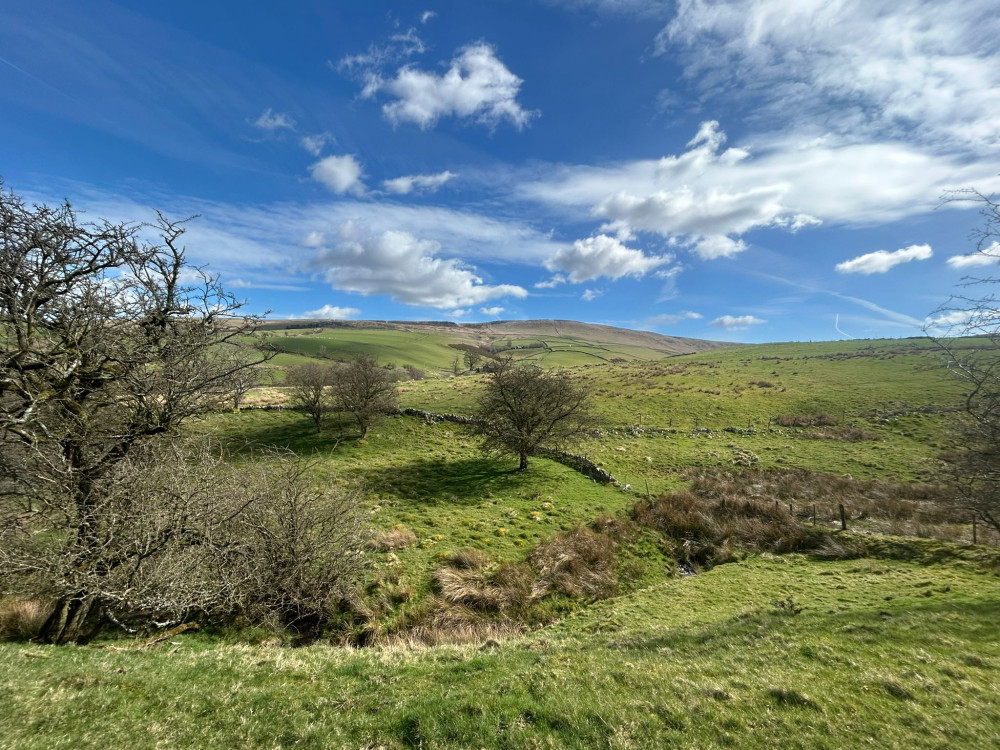 Cheshire Wildlife Trust has launched an appeal as it looks to purchase Fox Hill in Cheshire's Peak District (Credit: CWT)