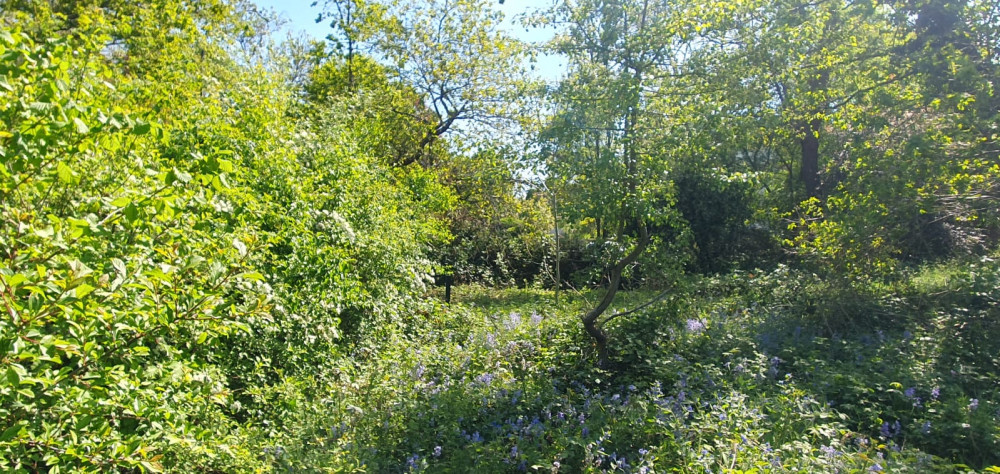 Saturday Conservation Volunteering Session