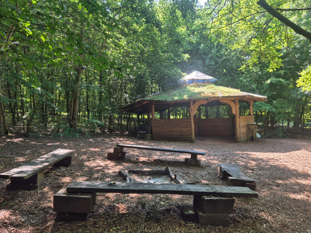 ARC's Woodland Wellbeing Summer Course near Radford Semele offers nature-based support for mental health (image supplied)