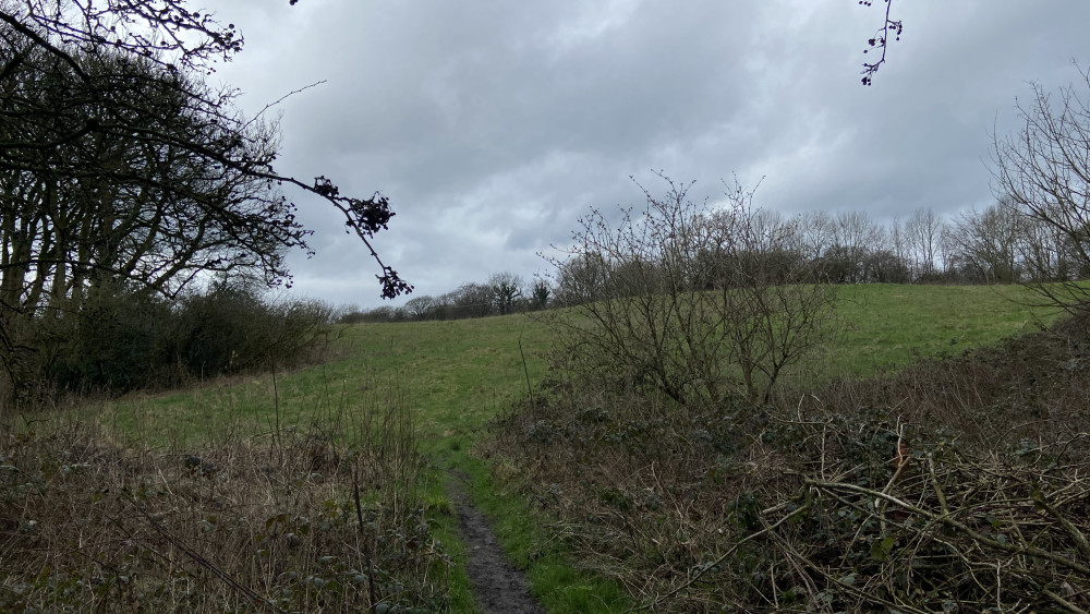 Six applications seeking permission in principle for one to nine homes on land north of Pepper Street, Keele have been withdrawn (image via Phil Corrigan - LDR)
