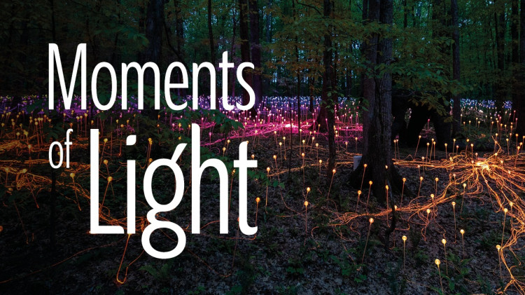 Hospice announces Moments of Light: a world premiere immersive light installation by internationally renowned artist, Bruce Munro.