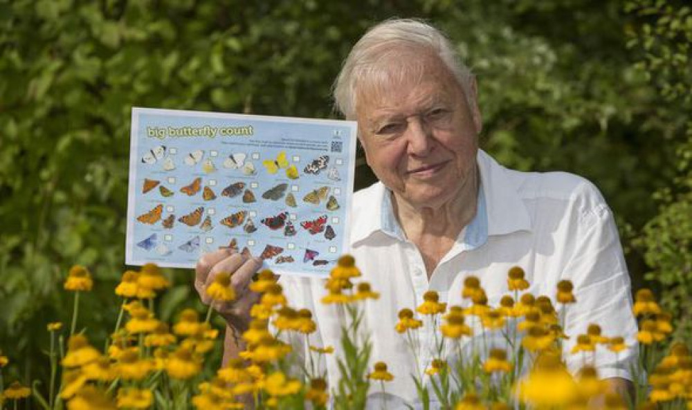 Sir David has been a passionate campaigner for butterfies