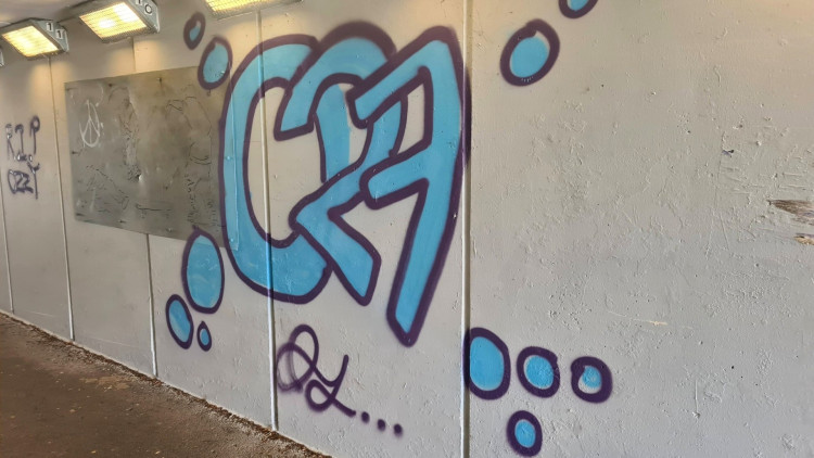 Street's neighborhood policing team has increased patrols in response to rising anti-social behavior and graffiti incidents in local parks, urging residents to report activities.