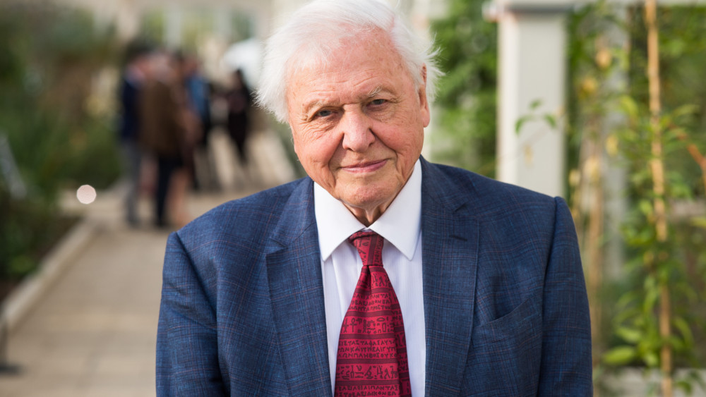 Sir David Attenborough at the Temperate House reopening on 3 May 2018 (credit: RBG Kew).