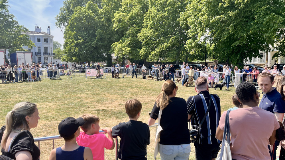 The annual Dog Show saw the largest amount of pets ever at a Richmond May Fair (credit: Nub News).