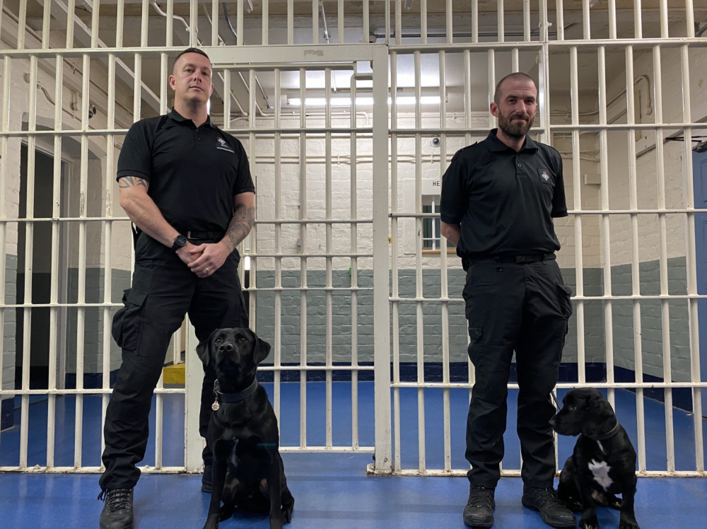 Super Dogs: Super Training