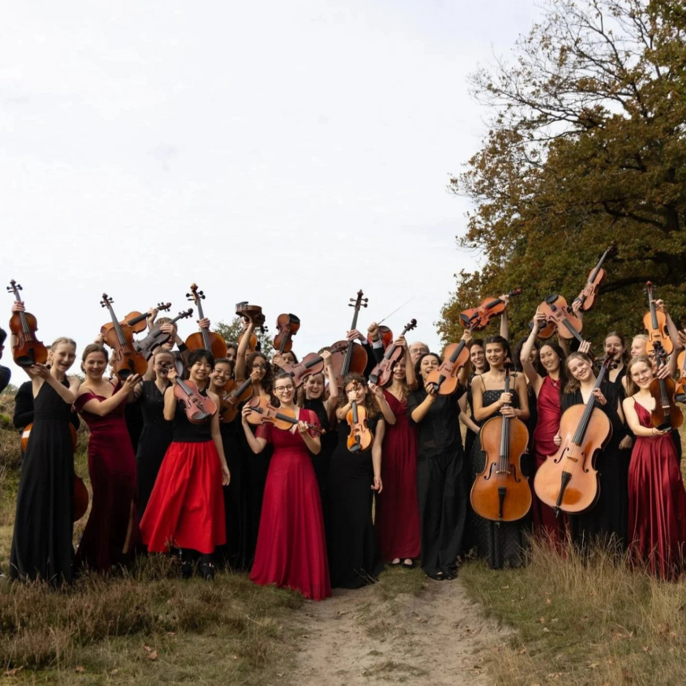 Haydn Youth String Orchestra
