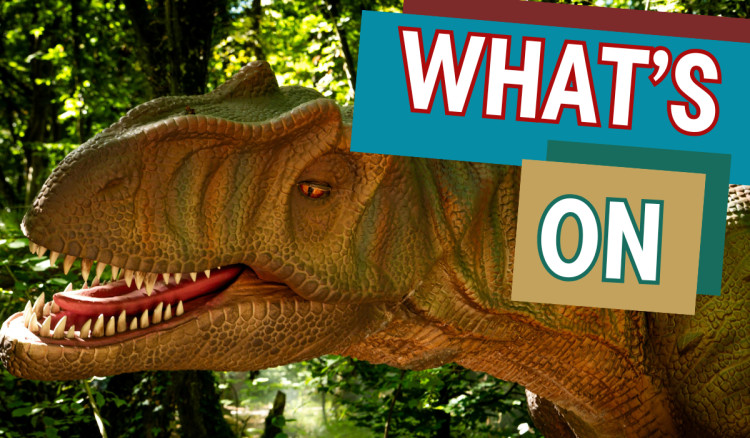 Congleton Nub News' guide to the weekend (Credit: Canva)