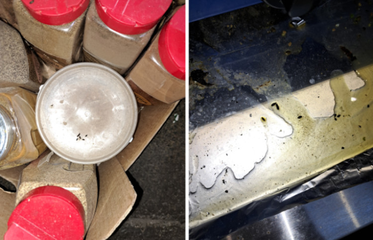 Inspectors discovered widespread evidence of mice during repeated food hygiene visits to The Grosvenor in Hanwell