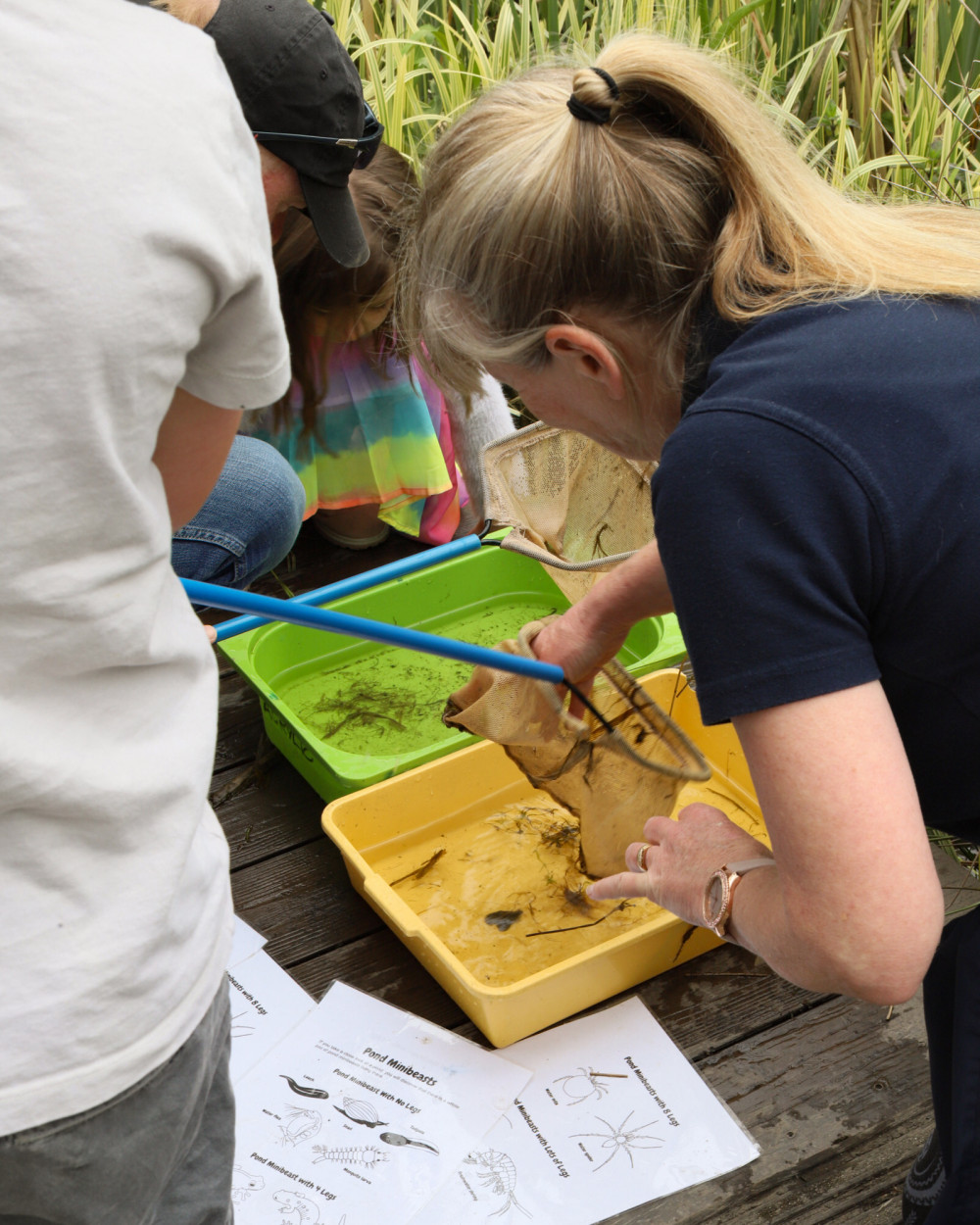 Pond Dipping at Ferne Animal Sanctuary