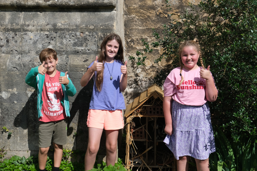 Bugs, Bats and Butterflies