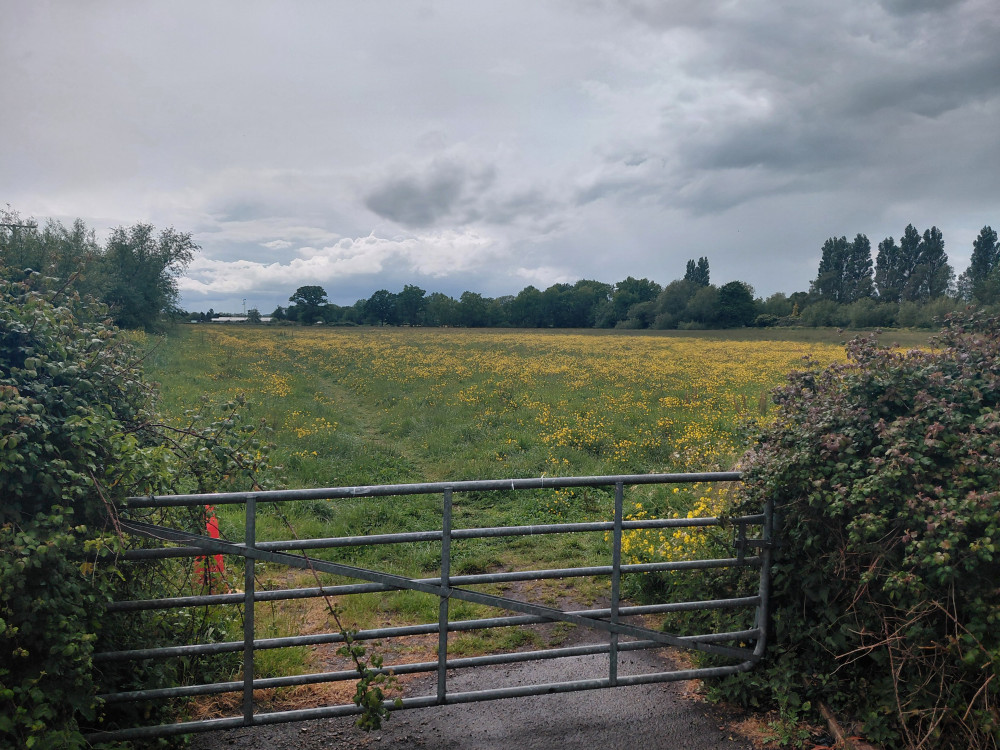 : Glastonbury could see 90 new homes built off Lowerside Lane under revised plans now before Somerset Council.