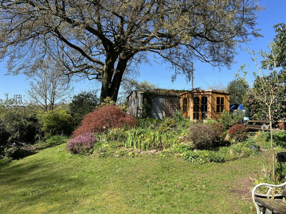 Garden (Credit: Stephenson Browne)