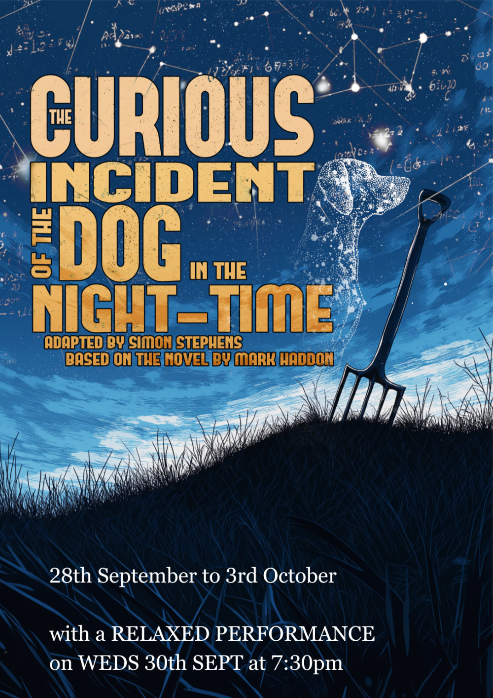 THE CURIOUS INCIDENT OF THE DOG IN THE NIGHT-TIME