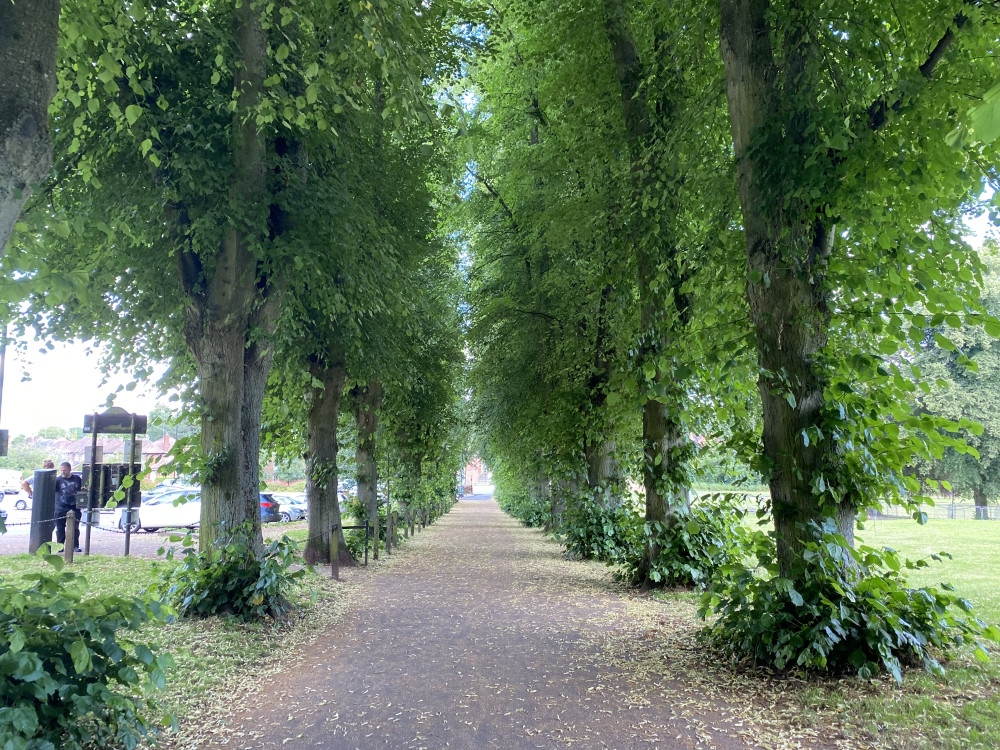 A new passing place will be created on the driveway in Abbey Fields (image by Nub News)