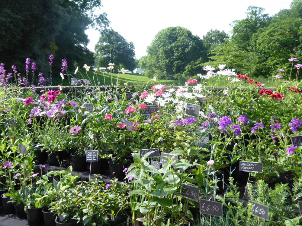 It's another Bank Holiday weekend and there's lots happening in and around Alsager. (Rode Hall/Flower Power Fairs)