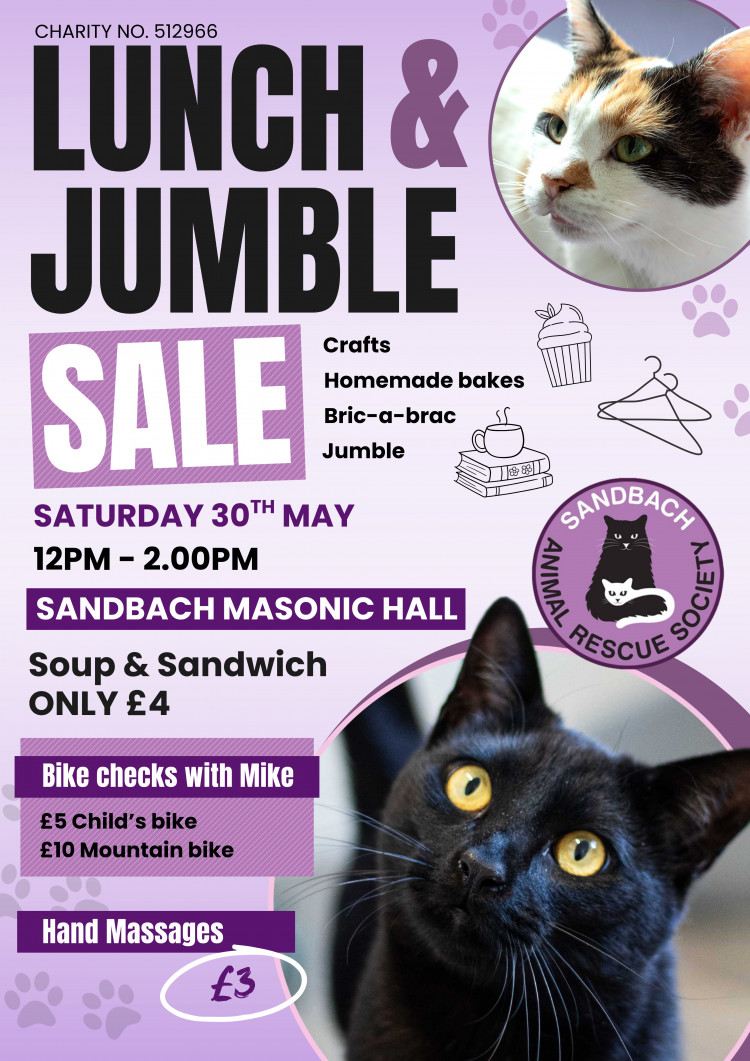 Lunch and Jumble