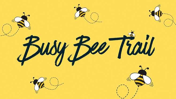 Time to be a busy bee