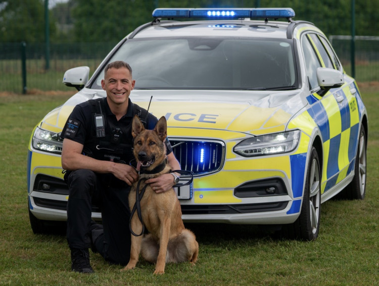 PD Muzza (Credit - Hertfordshire Police)