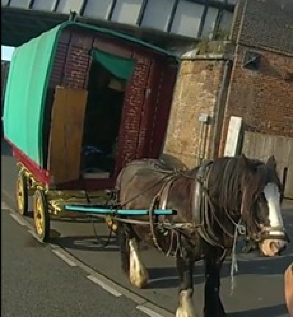 The horse and cart was spotted on the Parade (image via Leamington Police)