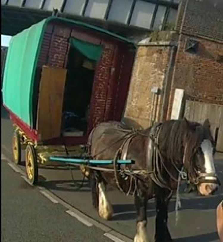 The horse and cart was spotted on the Parade (image via Leamington Police)