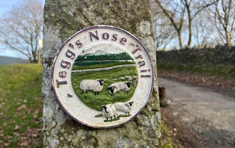 Police are investigating a livestock attack near Tegg's Nose (Credit: Nub News)