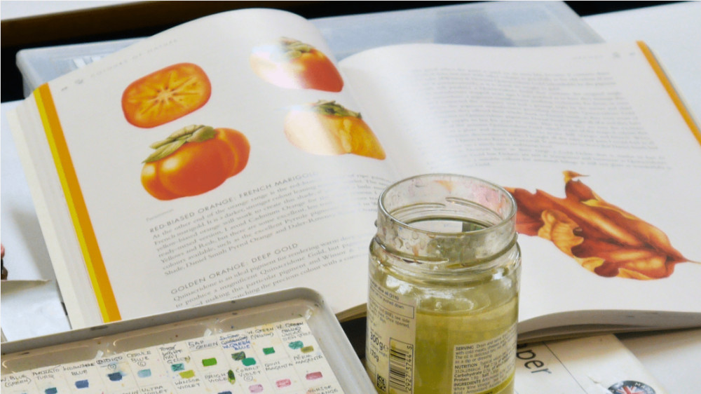 Artistic Observation and Botanical Illustration – Summer of Culture 2026