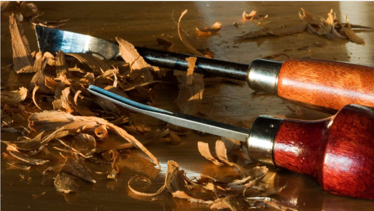 Woodland Whistles – Summer of Culture 2026