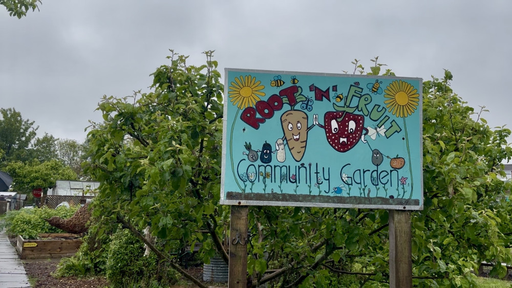 The Root 'n' Fruit Community Garden offers Middleport locals a space to garden and enjoy the outdoors (image via Nub News)