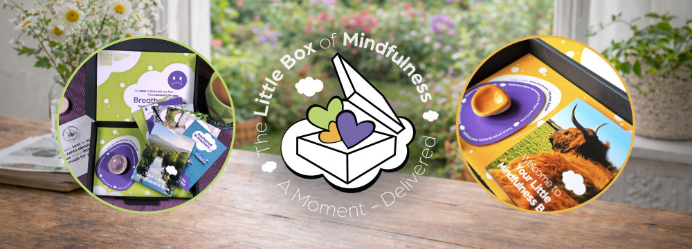 The Little Box Of Mindfulness