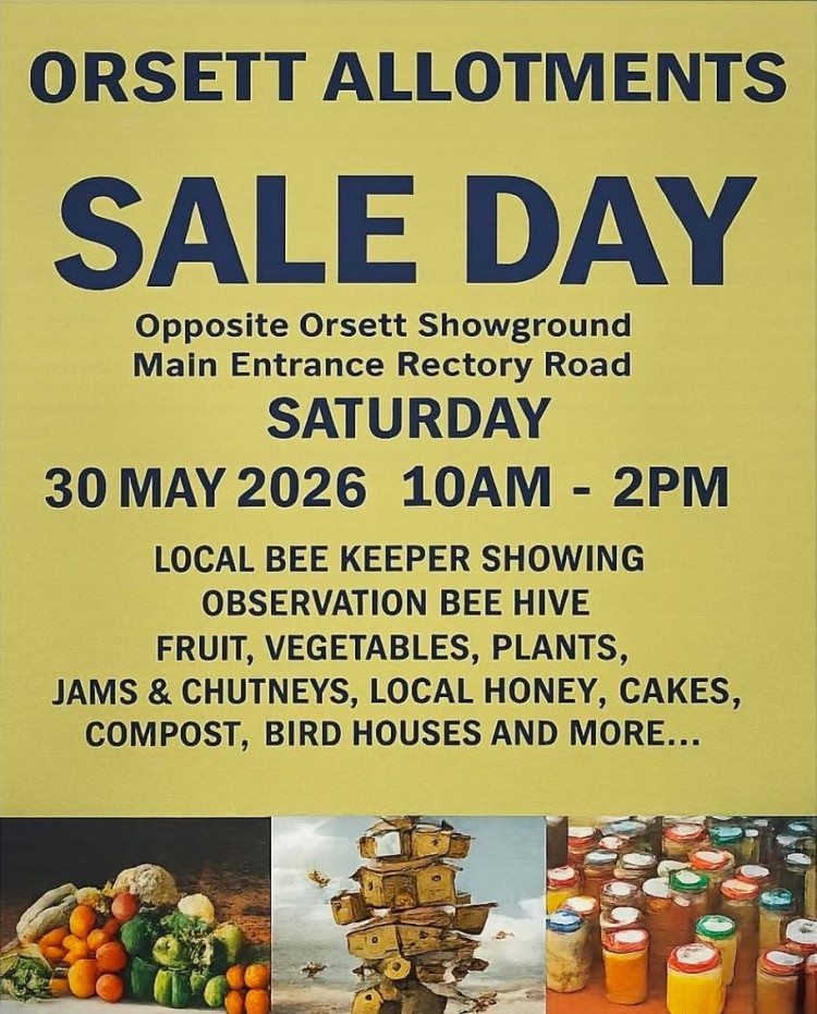 Open Day