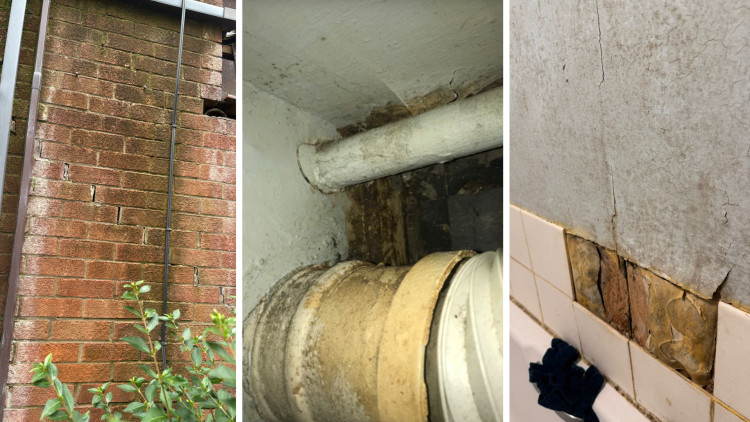 Tenants across Stockport are continuing to face serious issues with damp and mould in their homes (Images supplied)