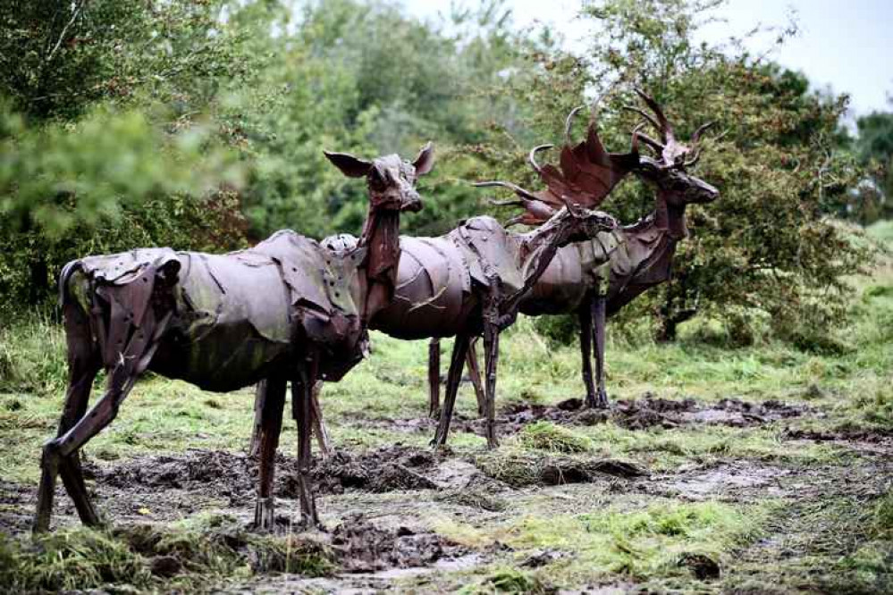 The elks have been moved to a more prominent position ahead of the country park opening