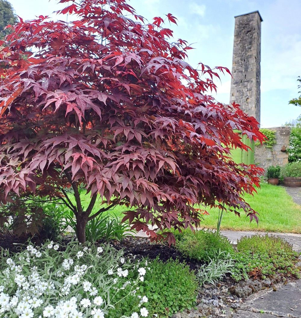 Open Gardens & Heritage Trail