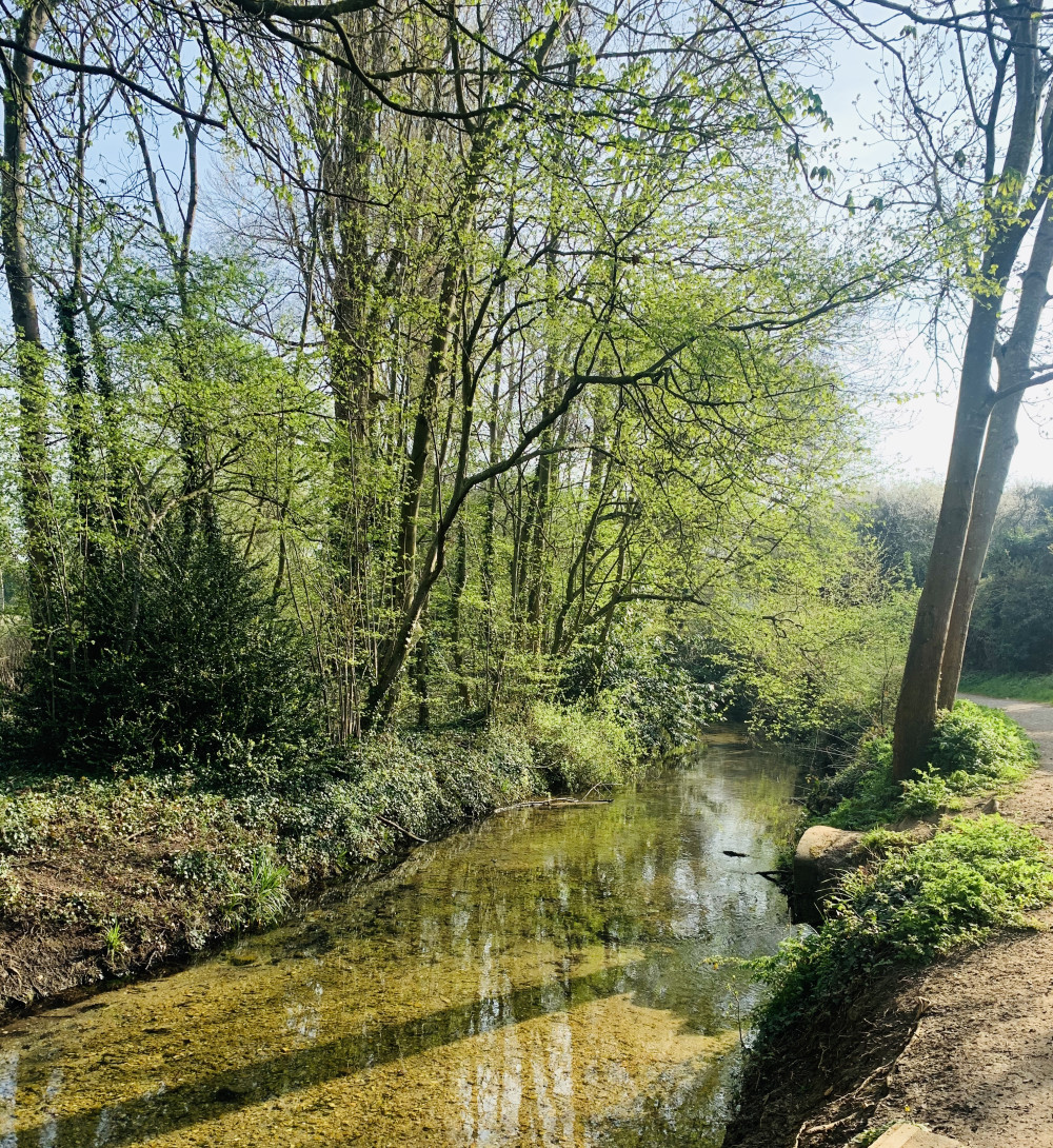Oughtonhead 