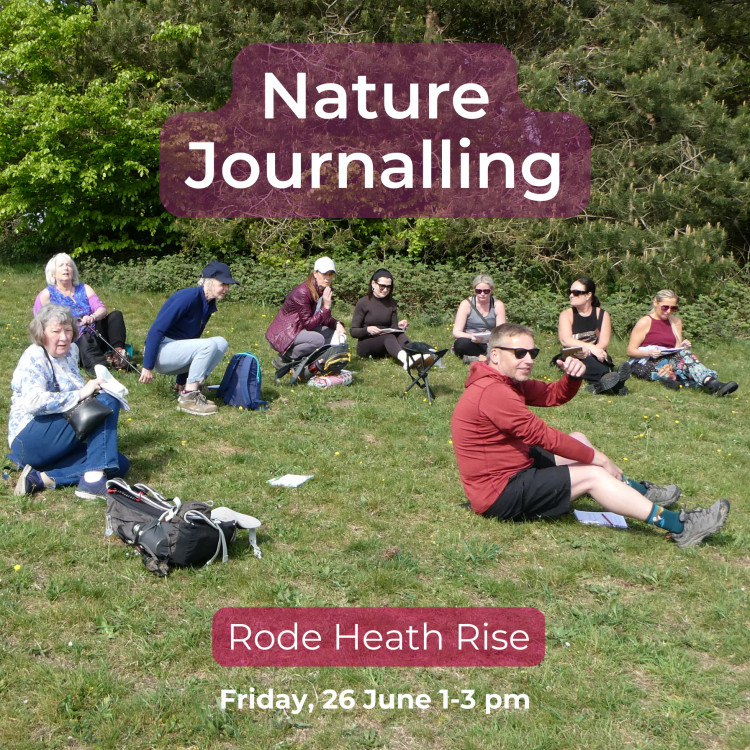 Nature Journalling: An Exploration of Your Senses