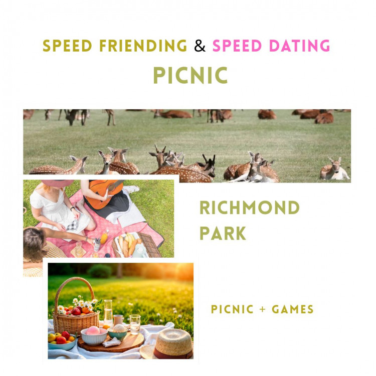 Speed Friending & Speed Dating Picnic